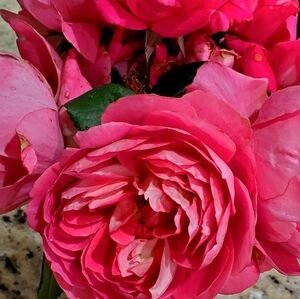 Stop And Smell The Flowers